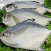 鯧魚